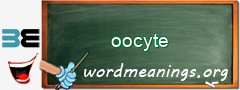 WordMeaning blackboard for oocyte